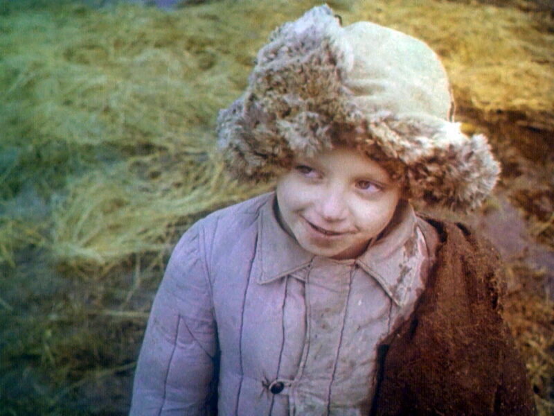 Уезд (3), 1982
